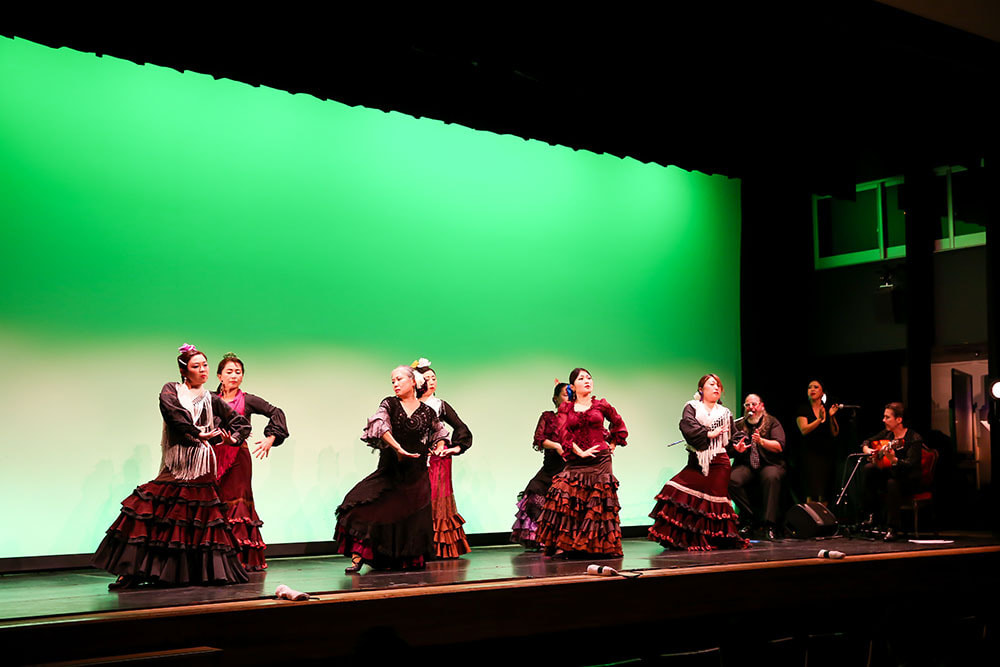 マリコフラメンコ