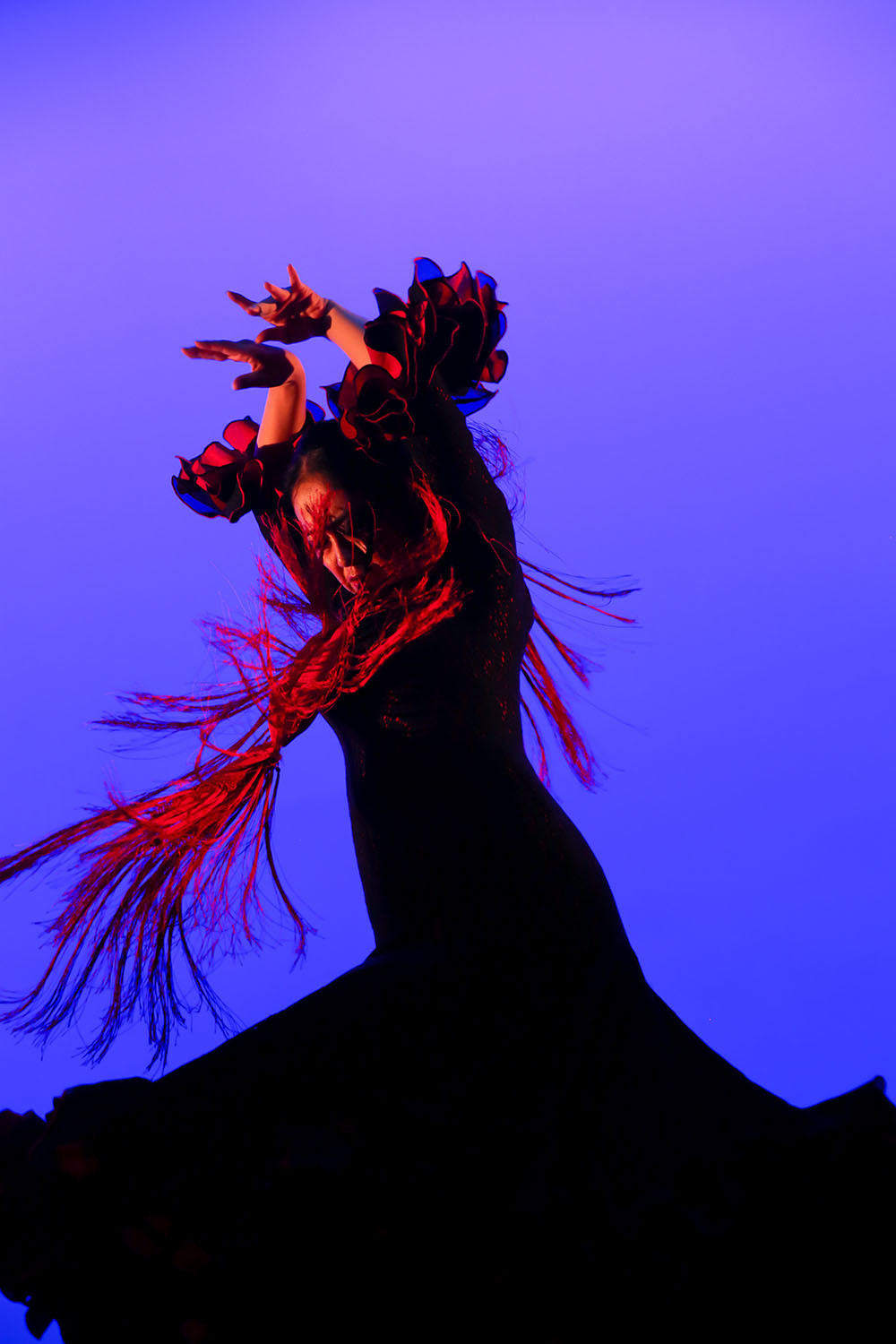 スタジオオリーボ